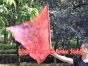 spinning silk flag poi 103cm (40") for Worship & Praise, Copper