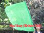 spinning silk flag poi 103cm (40") for Worship & Praise, green