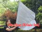 spinning silk flag poi 103cm (40") for Worship & Praise, silver