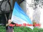 spinning silk flag poi 129cm (51") for Worship & Praise, long side Royalty