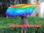 Spinning silk flag poi 174cm (68") for Worship & Praise, long side Rainbow