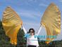 1 pair 180 cm (71") half circle prophetic angel wing silk flags, gold 