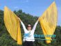 1 pair 180 cm (71") half circle prophetic angel wing silk flags, gold 