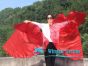 1 pair 180 cm (71") half circle prophetic angel wing silk flags,red 