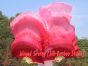 1 pair 1.5m (59") Bordeaux fading belly dance silk fan veil