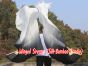 1 pair 1.8m (71") black-white belly dance silk fan veils