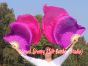 1 pair 1.1m (43") purple-pink silk fan veils for kids