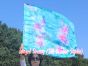 1pc 81cm (32") spinning silk flag poi for Worship & Praise, green+turquoise+pink