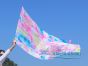 1 Piece 130 cm (51") prophetic silk worship flex flag, Flower Feast