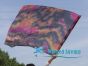 1 Piece 103 cm (40") prophetic silk worship flex flag, black+pink+orange