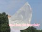 1 Piece 103 cm (40") prophetic silk worship flex flag, white