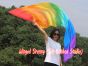 1 Piece 222 cm (88") prophetic silk worship flex flag, Rainbow