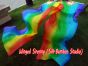 1 pair Rainbow long stripes 3G belly dance silk fan veil