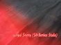 1 pair 1.5m (59") red-black belly dance silk fan veil