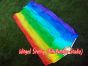 1 pair Rainbow long stripes 3G belly dance silk fan veil