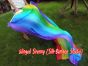 1 pair Rainbow long stripes 3G belly dance silk fan veil