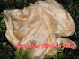 1 piece Beige 5 Mommes belly dance silk veil 