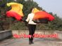 1 pair 1.8m (71") Illumination belly dance silk fan veils