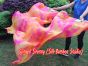 1 pair Sakura 3G tie-dye belly dance silk fan veil