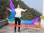 1 Piece Mystery 1.35m (53") dance silk veil poi