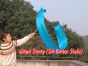 1 piece turquoise 180 cm (71") silk streamer