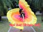 1 pair black-red-orange-yellow 8 Mommes habotai belly dance silk wing