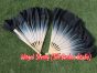 1 Pair white-black short Chinese silk dance fan, 10cm (4") flutter