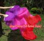 1 pair 1.5m (59") purple-pink-red belly dance silk fan veil