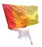 Slightly defected 130 cm (51") silk flex flag, in assorted colors