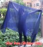 1 piece navy blue 5 Mommes belly dance silk veil 