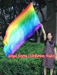 Spinning silk flag poi 174cm (68") for Worship & Praise, long side Rainbow