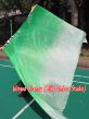 1 piece green shading 5 Mommes belly dance silk veil 