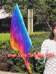 1pc 81cm (32") spinning silk flag poi for Worship & Praise, Iridescence