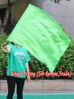 1pc 81cm (32") spinning silk flag poi for Worship & Praise, green