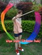 1 piece Rainbow (B) 2.5m (98") silk worship streamer