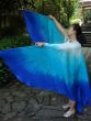 1 pair Royalty 6 Mommes habotai belly dance silk wing