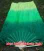 1 pair 1.5m (59") Emerald belly dance silk fan veil